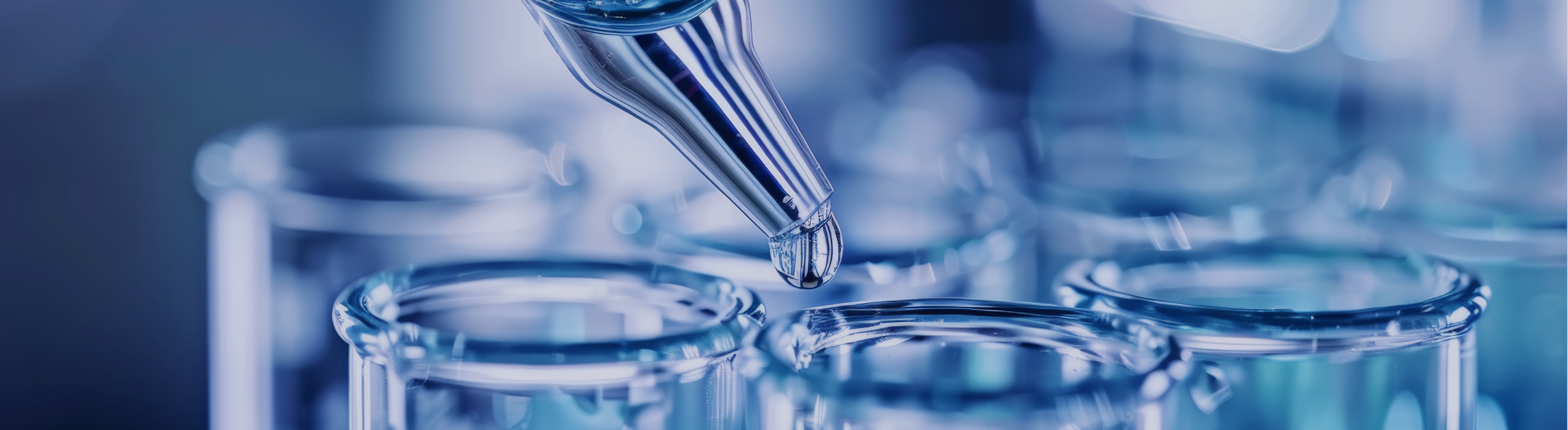 Chemical & Life Sciences